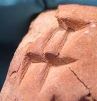 Fig. 4: Close-up of the Old Babylonian tablet VAT 8136, with wedges displaying the curvature of the right-hand face and the fibrous impressions of the left-hand face. Fig. 4: Close-up of the Old Babylonian tablet VAT 8136, with wedges displaying the curvature of the right-hand face and the fibrous impressions of the left-hand face.